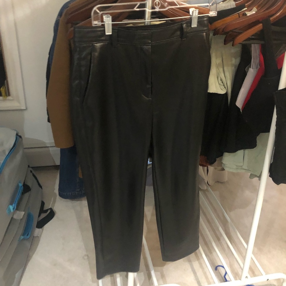Babaton leather pants